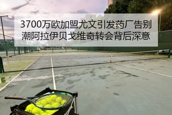 3700万欧加盟尤文引发药厂告别潮阿拉伊贝戈维奇转会背后深意